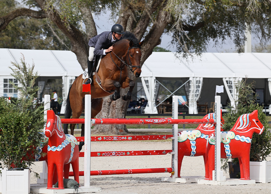 horse being jumped